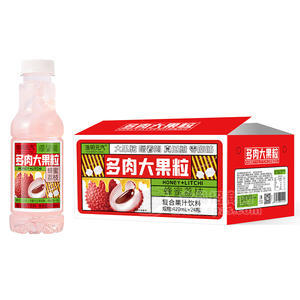 浩明元汽蜂蜜荔枝多肉大果粒復(fù)合果汁飲料箱裝招商420ml