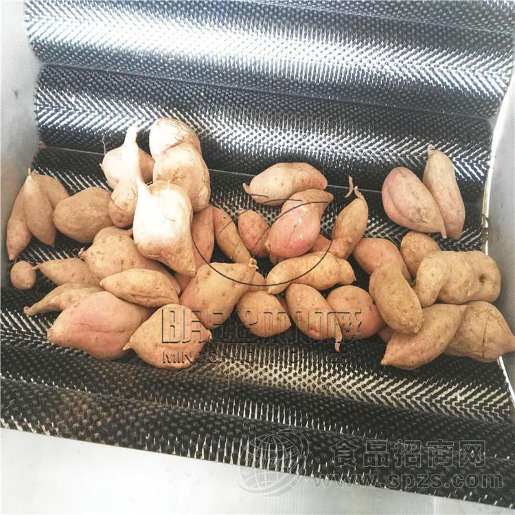 红薯毛辊加工设备 诸城明超机械定制