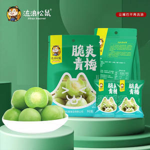 流浪松鼠6元系列食品脆爽青梅蜜饯挂件袋装办公室校园学校零食招商