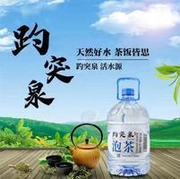 趵突泉泡茶純凈水活水源家庭裝飲用水5L