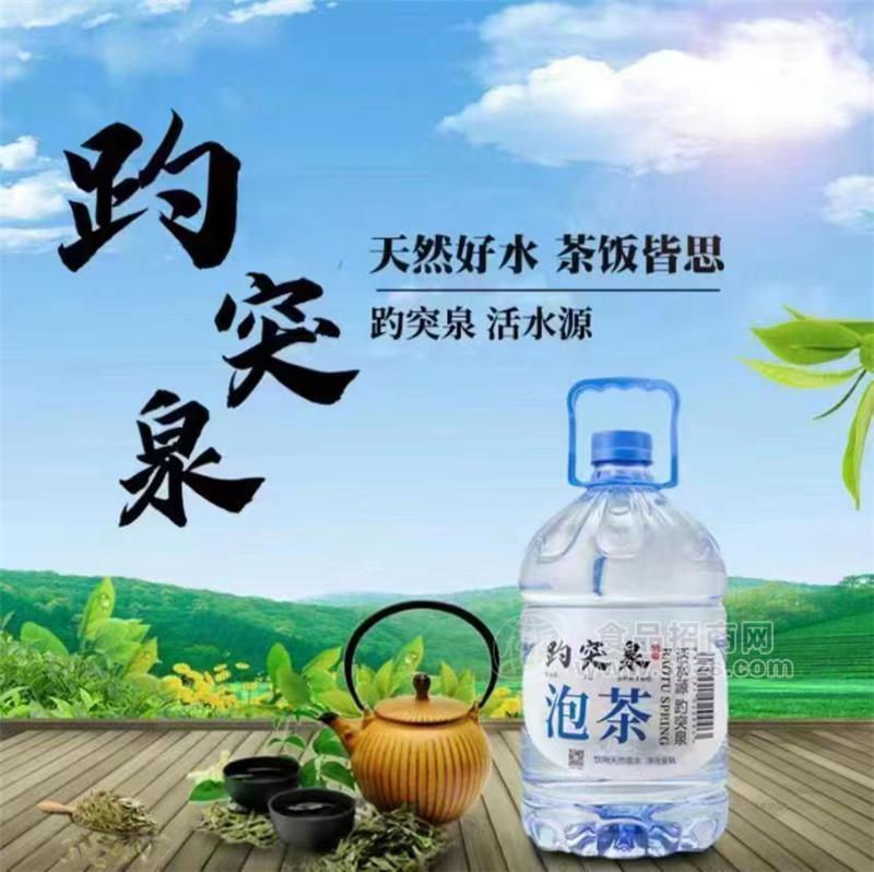 趵突泉泡茶纯净水活水源家庭装饮用水5L