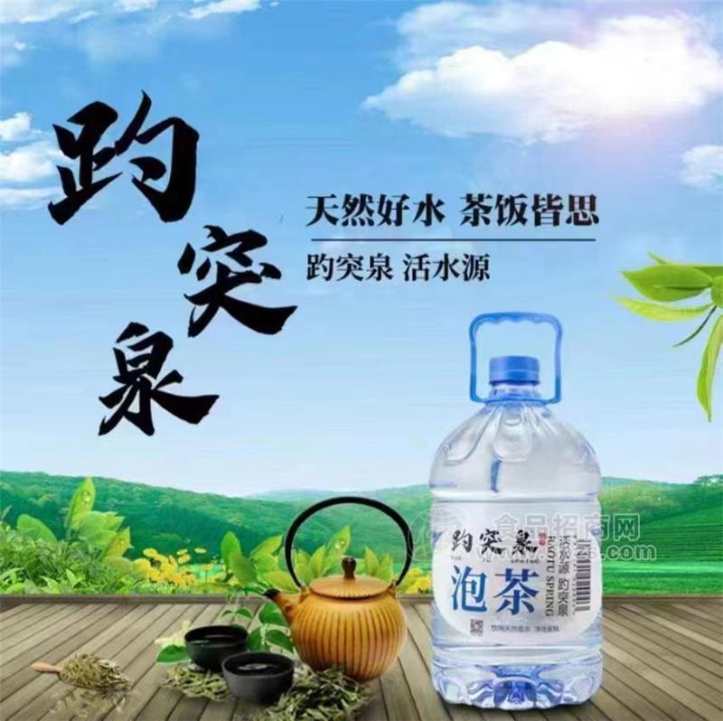 趵突泉泡茶純凈水活水源家庭裝飲用水5L