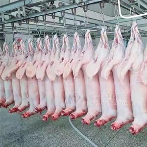 宁夏特产盐池滩羊绵羊胴体白条羊整只羊