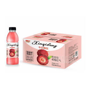 新启动杨梅汁果汁饮料600mlx15瓶