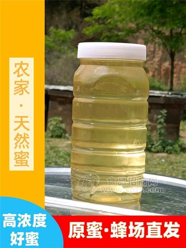 食品烘焙飲料洋槐蜜食品廠飲料廠用原料蜂蜜75KG/每桶 成熟蜂蜜