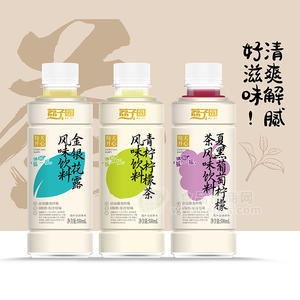 荔子园风味茶饮料瓶装招商550ml