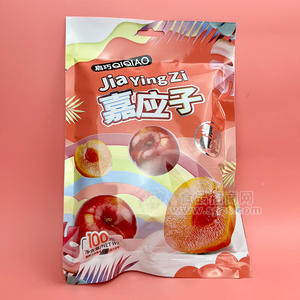 启巧嘉应子袋装招商100g