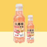 佳顿红柚果汁果味嚼着喝的饮料瓶装招商