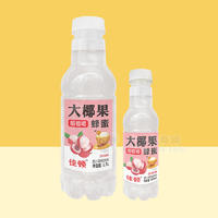 佳顿荔枝味果汁果味饮料瓶装招商