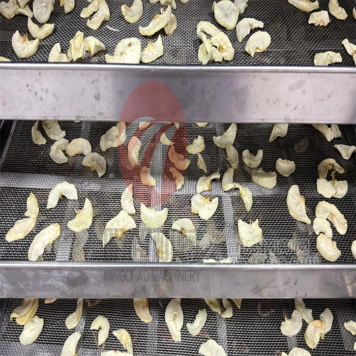 诸城定制无花果烘干机加工设备