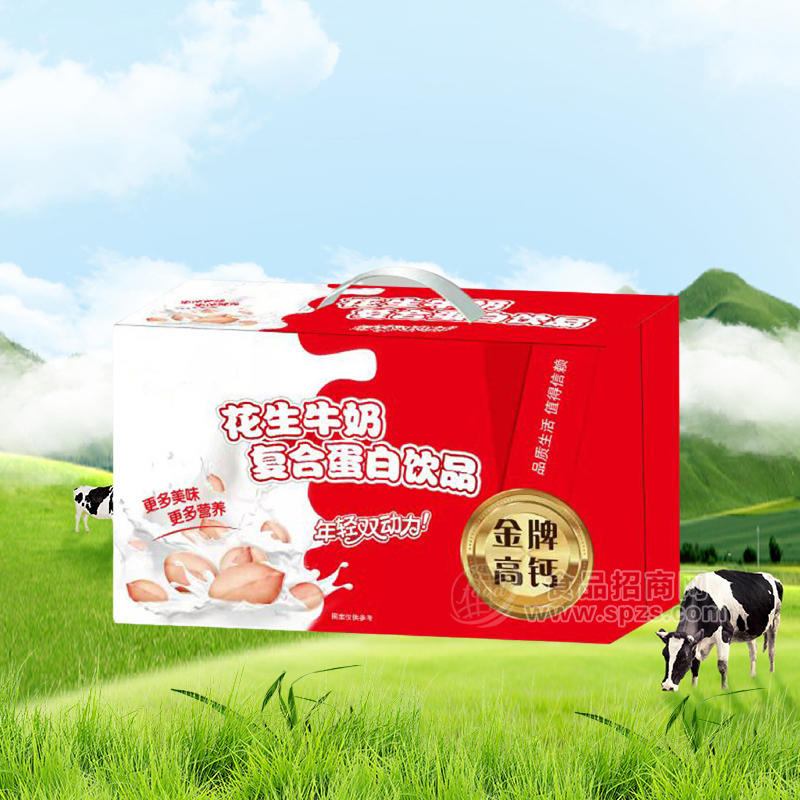 花生牛奶复合蛋白饮品箱装招商