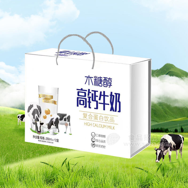 木糖醇高钙牛奶复合蛋白饮品箱装招商
