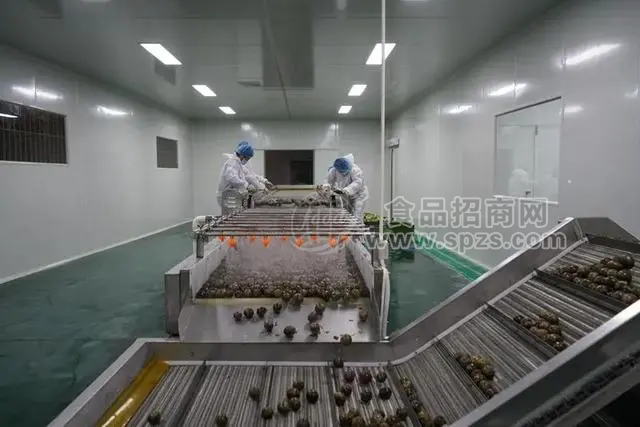 根茎类中药材清洗机优势
