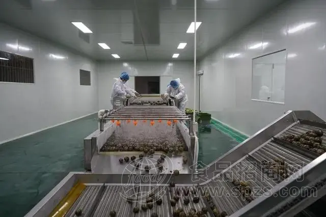 中药材半夏快速清洗加工设备