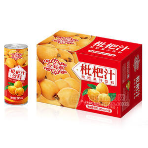 金海燕枇杷汁枇杷果汁饮料箱装招商245ml×24罐