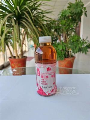 酸梅汤0糖0脂肪280ml