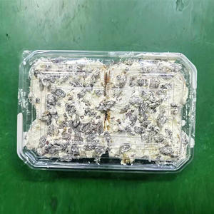 养生冠塑盒坚果奶酪味面包方便食品