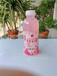 蜂蜜柚子无蔗糖饮料瓶装280ml