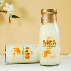 博牛燕麦发酵酸奶瓶装招商320g
