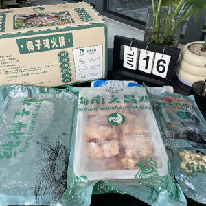 叶子记海南椰子鸡火锅4人份套餐火锅鸡