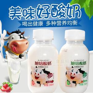 旭培酸奶原味草莓味
