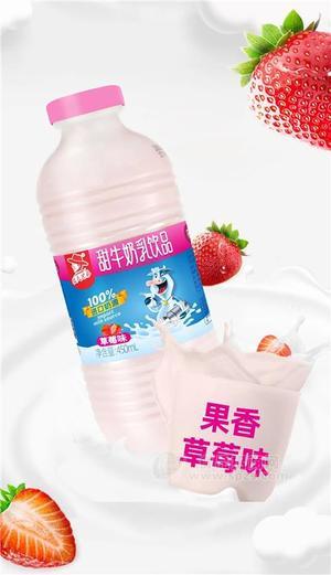 農(nóng)夫兄弟草莓味甜牛奶乳飲品飲料450ml