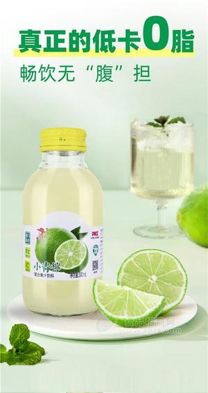 農(nóng)夫兄弟小青檸復(fù)合果汁飲料300ml