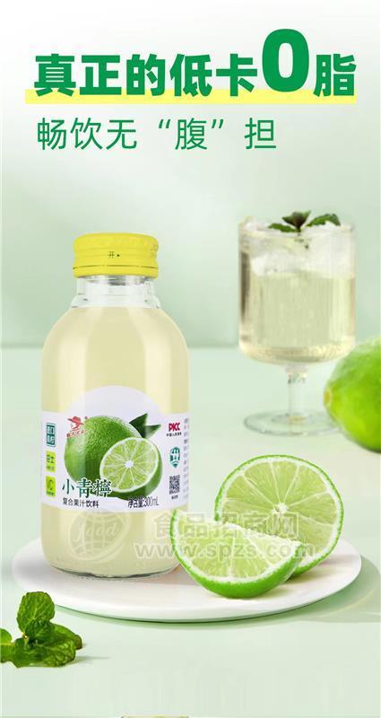 農(nóng)夫兄弟小青檸復合果汁飲料300ml