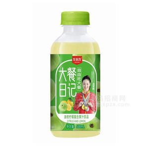 友利友油柑檸檬復(fù)合果汁飲品果汁飲料500ml