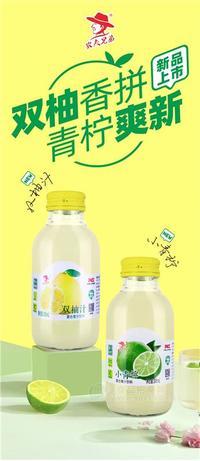 農(nóng)夫兄弟雙柚汁復合果汁飲料300ml