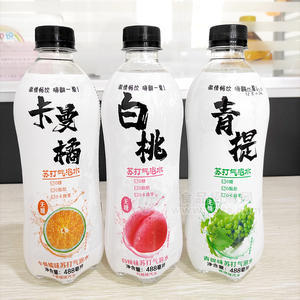 蘇打氣泡水果味汽水瓶裝招商488ml