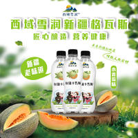 西域雪润新疆格瓦斯果味饮料小香瓜味