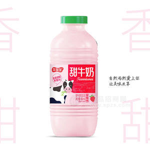 牛加加甜牛奶乳飲料瓶裝招商450ml