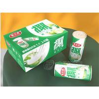 南方虎椰子汁植物蛋白饮料245ml×24罐罐装饮品