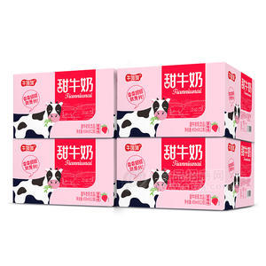 牛加加甜牛奶飲料批發(fā)450ml×12瓶