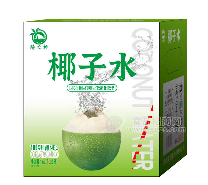 臻之椰NFC原椰椰子水植物蛋白飲料