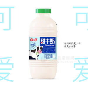 牛加加甜牛奶乳飲料批發(fā)瓶裝招商450ml