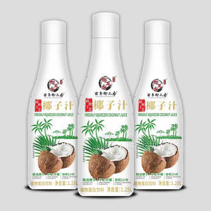 百年椰正香椰子汁植物蛋白飲料瓶裝招商1.25L