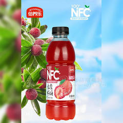 倍养乐佐餐杨梅复合果汁饮料600ml