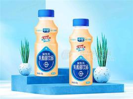 中星益生元乳酸菌饮品乳饮料420g