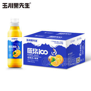 原漿100橙果肉椰果復(fù)合果汁飲料500ml