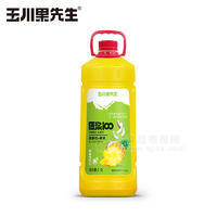 玉川果先生原浆100菠萝粒＋椰果复合芒果汁饮料招商2.5L