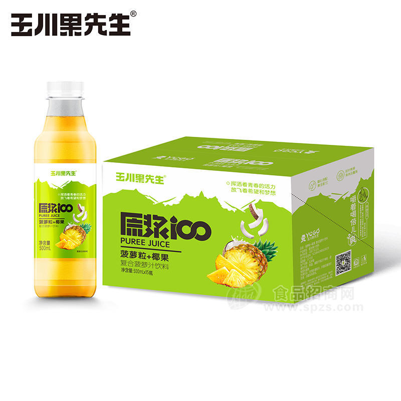原浆100复合菠萝汁饮料菠萝粒＋椰果箱装招商500ml
