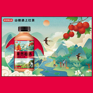 發(fā)財雨山楂烏龍茶飲料正品即飲瓶裝批發(fā)招商500ml