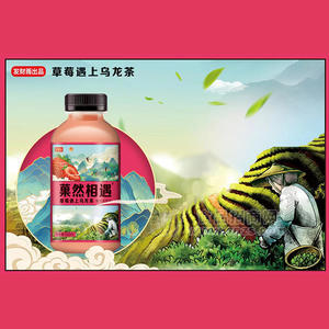 發(fā)財雨草莓烏龍茶飲料即飲瓶裝批發(fā)招商500ml