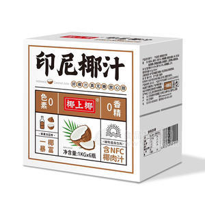 椰上椰椰汁飲料0色素0香精箱裝招商1KG×6瓶