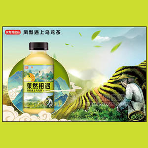 發(fā)財雨鳳梨烏龍茶飲料即飲瓶裝批發(fā)招商500ml