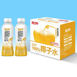 荔子園100%椰子水飲料箱裝招商350ml