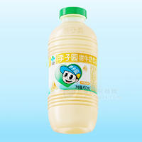 李子园甜牛奶饮品哈密瓜味瓶装招商450ml