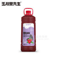 玉川果先生原浆100杨梅桑葚＋椰果复合果汁饮料招商2.5L
